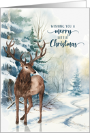 Little Christmas Epiphany Greetings with Blue Reindeer card