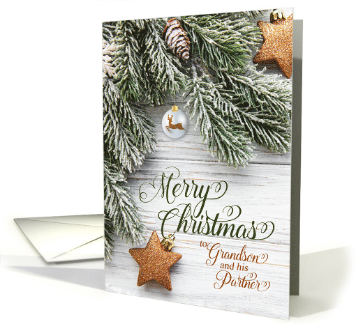 for Grandson and Partner Snowy Pine Branches and Stars card (860740)