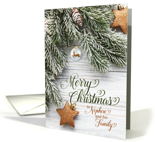 for Nephew and Family Snowy Pine Branches and Stars card (860749)
