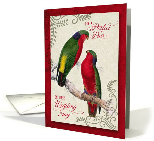 Gay Wedding Day Congratulations Pair of Love Bird Parrots card