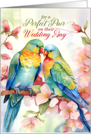 Gay Wedding Day Congratulations Pair of Love Bird Parrots card