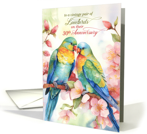 30th Wedding Anniversary Pair of Lovebirds Parakeets card (892020)