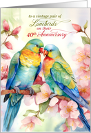 40th Wedding Anniversary Pair of Lovebird Parakeets card