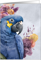 Hyacinth Macaw Parrot in Blue and Purple Blank Any Occasion card