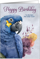 Pet Sitter Birthday Hyacinth Macaw Parrot Custom card