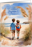 for Big Brother on His Birthday from Little Brother card