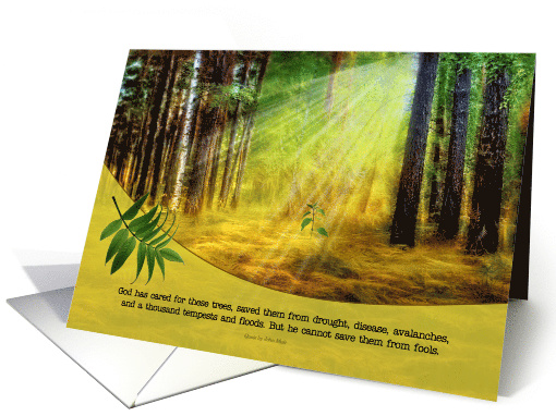 Earth Day Sun Kissed Forest Floor with New Growth card (903165)