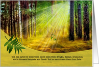 Earth Day Sun Kissed Forest Floor with New Growth card