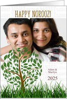 Norooz Persian New Year Tree and Grasses Custom Photo card