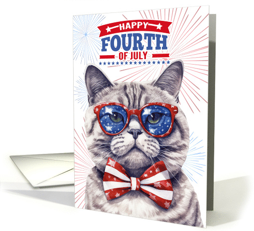 Happy 4th of July Patriotic Cat card (914410)