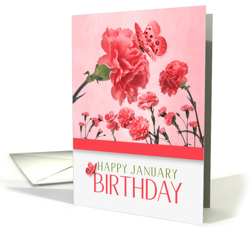 January Birthday Pink Carnations with Butterflies card (934809)