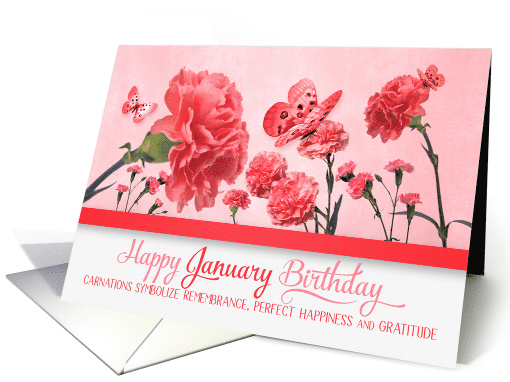 January Birthday Pink Carnations with Butterflies card (934810)