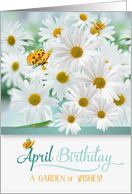 April Birthday Daisies with Butterflies and a Lizard card