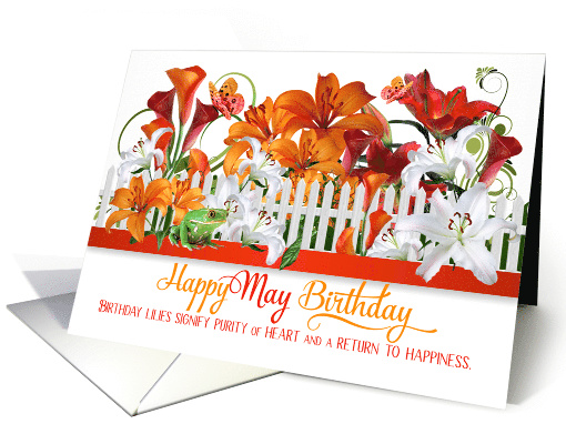 May Birthday Lily Garden with Butterflies and a Frog card (936118)
