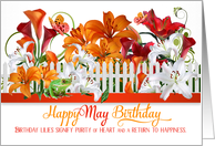 May Birthday Lily...
