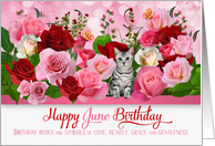 June Birthday Rose Garden with Butterflies and Tabby Cat card