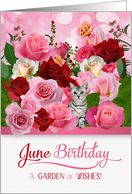 June Birthday Rose Garden with Butterflies and Tabby Cat card