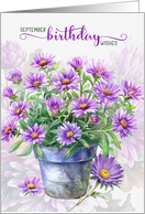 September Birthday Morning Glory with Green Cochoa birds card