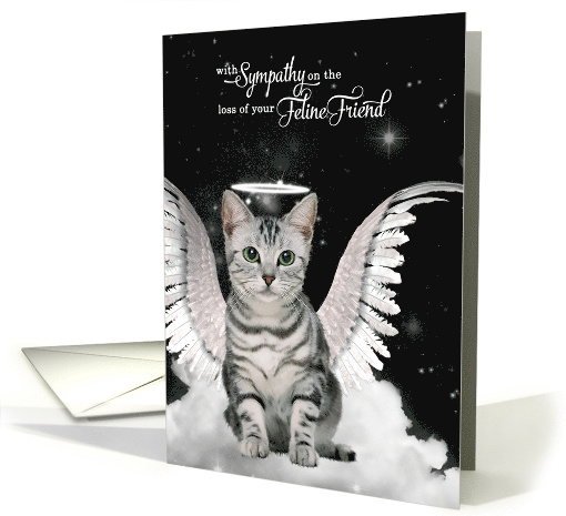 Loss of a Cat Silver Tabby Angel Pet Sympathy card (956601)