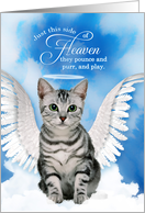 Loss of a Cat Silver Tabby Angel Pet Sympathy Rainbow card