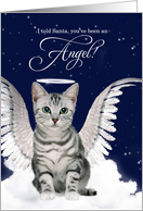 Gray Tabby Cat Angel with Halo and Wings Pet Lover Christmas card