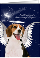 Beagle Angel Dog Pet Lover’s Christmas card