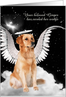 Custom Pet Sympathy Loss of a Dog Golden Retriever Angel card