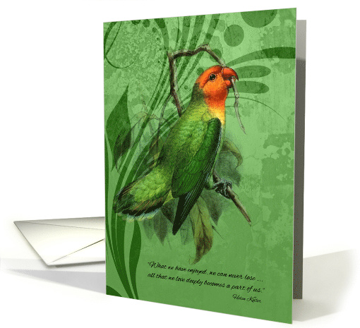 Loss of a Pet Bird Pet Sympathy Lovebird Parakeet card (957739)