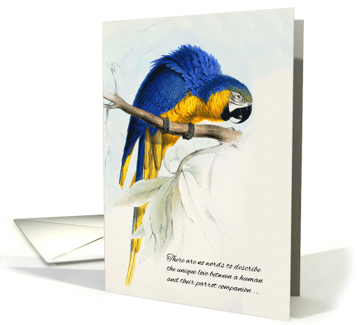 Loss of a Bird Pet Sympathy Blue and Gold Macaw Parrot card (958307)