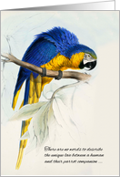 Loss of a Bird Pet Sympathy Blue and Gold Macaw Parrot card