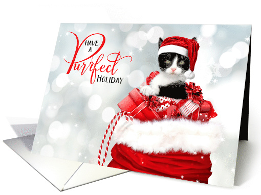 Purrfect Holiday Kitten in a Santa Hat Red and White Theme card