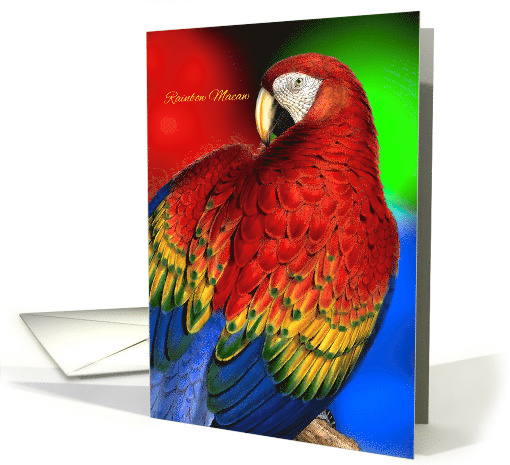 Rainbow Macaw Parrot Pet Lover Blank Any Occasion card (958589)