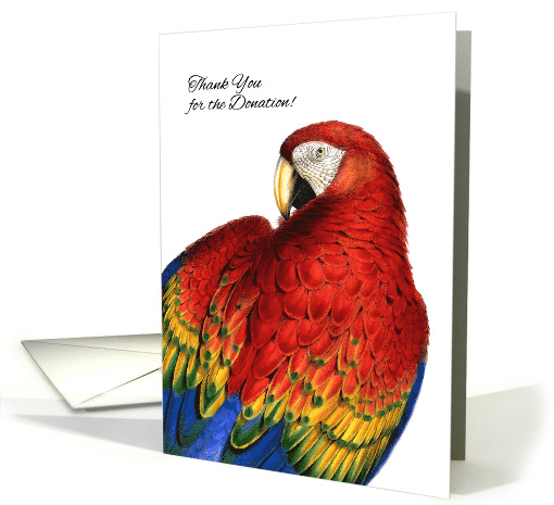 Donor Thank You Business Rainbow Macaw Parrot Blank card (958619)