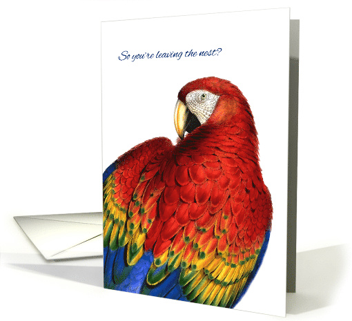 Farewell and Good Luck Rainbow Macaw Parrot card (958665)