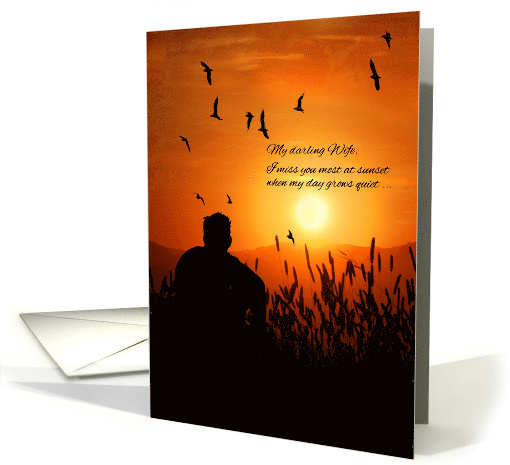 for Wife Missing You Male Silhouette Sunset Mountain Scenic card