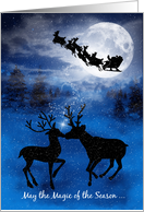 Kissing Reindeer in the Snow Christmas Holiday Card