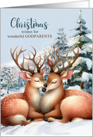 for Godparents on Christmas Kissing Reindeer in the Snow card