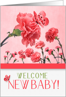 New Baby Congratulations Pink Carnations card