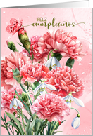 Spanish Birthday Feliz Cumpleanos Pink Carnations card