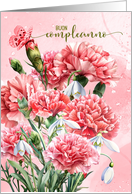 Italian Birthday Buon Compleanno! Pink Carnations card