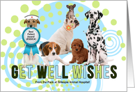 Get Well Cute Pack...