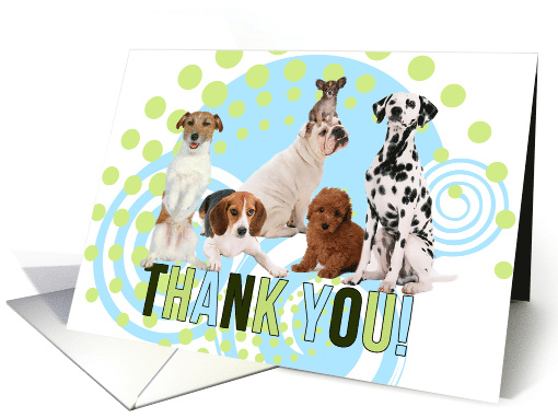 Thank You Pack of Cute Dogs with Blue and Green Geometric Blank card