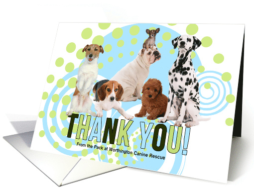 Donor Thank You with Custom Text and a Cute Pack of Dogs card (983101)