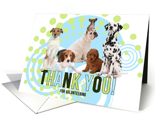 Volunteer Thank You Cute Pack of Dogs with Modern Green and Blue card
