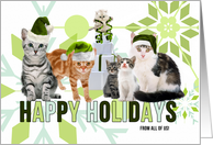 from the Litter Holiday Cats in Green and Blue card