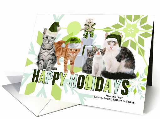 Green Santa Hats on Cats with Snowflakes Custom Happy Holidays card