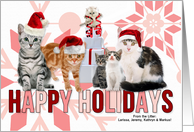 Holiday Cats in Red...