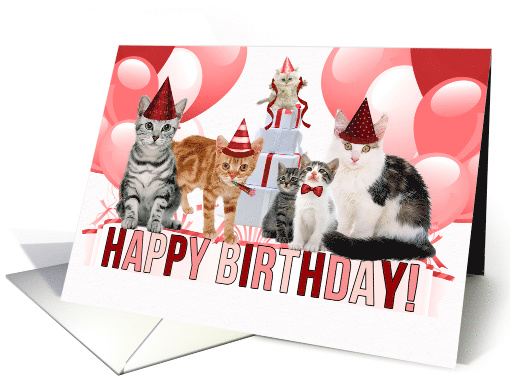 Birthday for the Cat Lover in Red and Pink Hues card (984093)