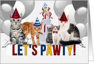 Funny Cats Birthday...