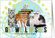 Get Well from a Litter of Cats Cute Doctor and Nurse Felines card